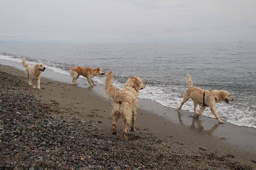 Triple Soul on the Beach