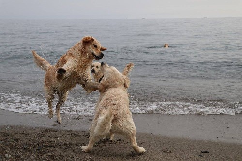 Triple Soul on the Beach