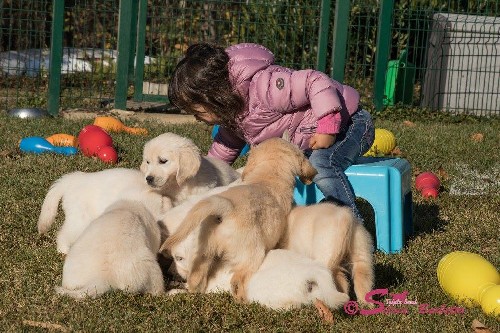 Cuccioli e socializzazione