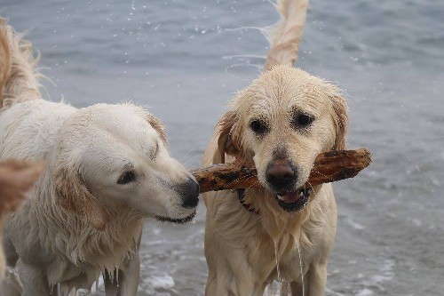 Triple Soul on the Beach