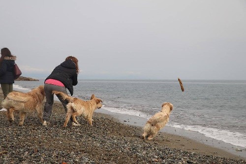 Triple Soul on the Beach