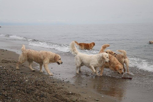 Triple Soul on the Beach