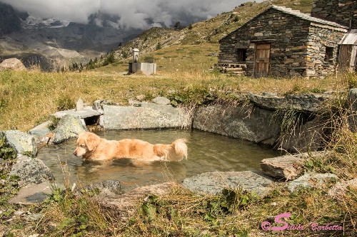 Heidi in Val D'aosta